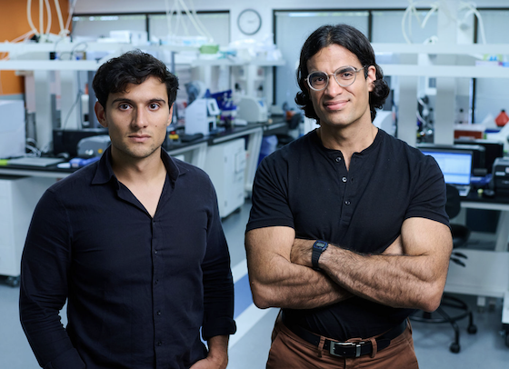 Network Bio launches with $50M to read the 'barcodes' of disease